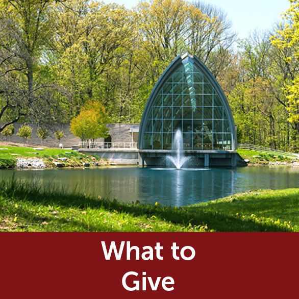 Rollover image of White Chapel. Link to What to Give. Rollover image of White Chapel. Link to What to Give.